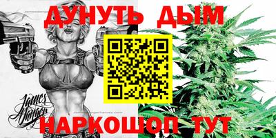 дмт Сланцы