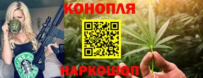 дмт Сланцы