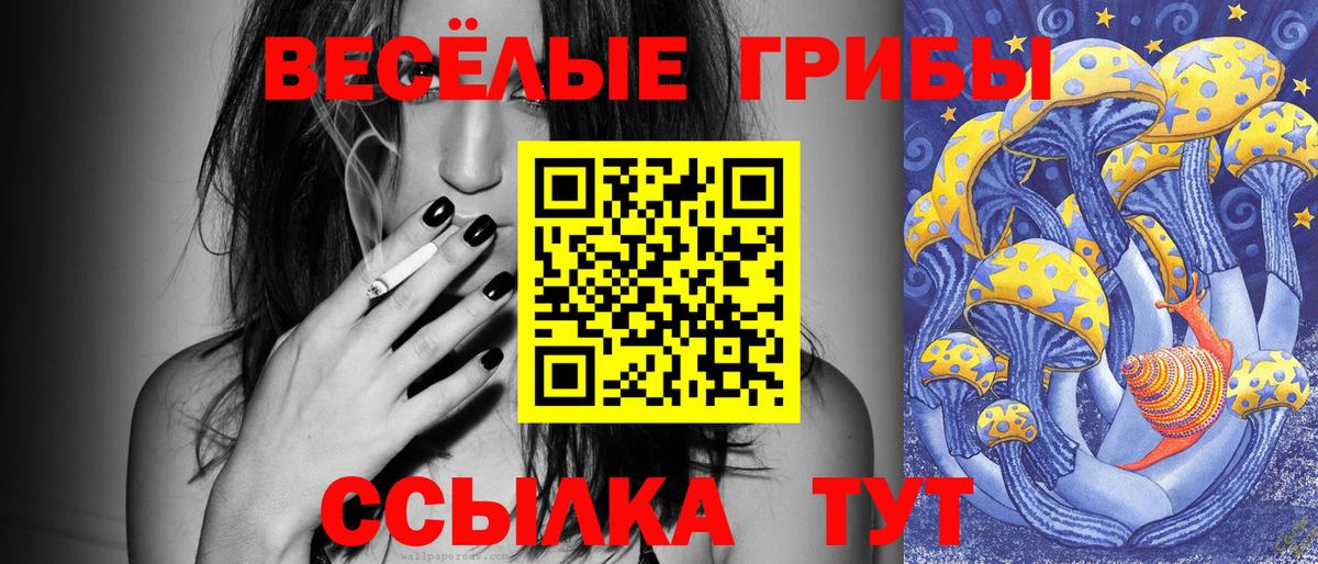 Псилоцибиновые грибы MAGIC MUSHROOMS Прохладный